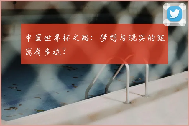 中国世界杯之路:梦想与现实的距离有多远?